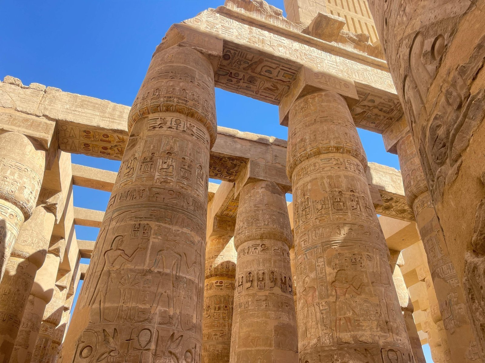 تريند أم الدنيا مصر