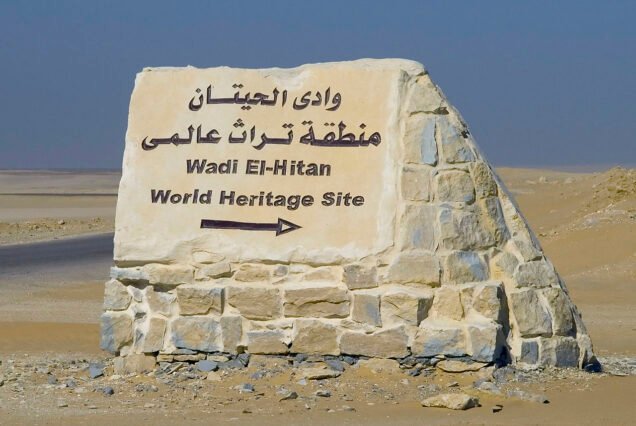 اكتشف قلب مصر مع تريند ام الدنيا مصر